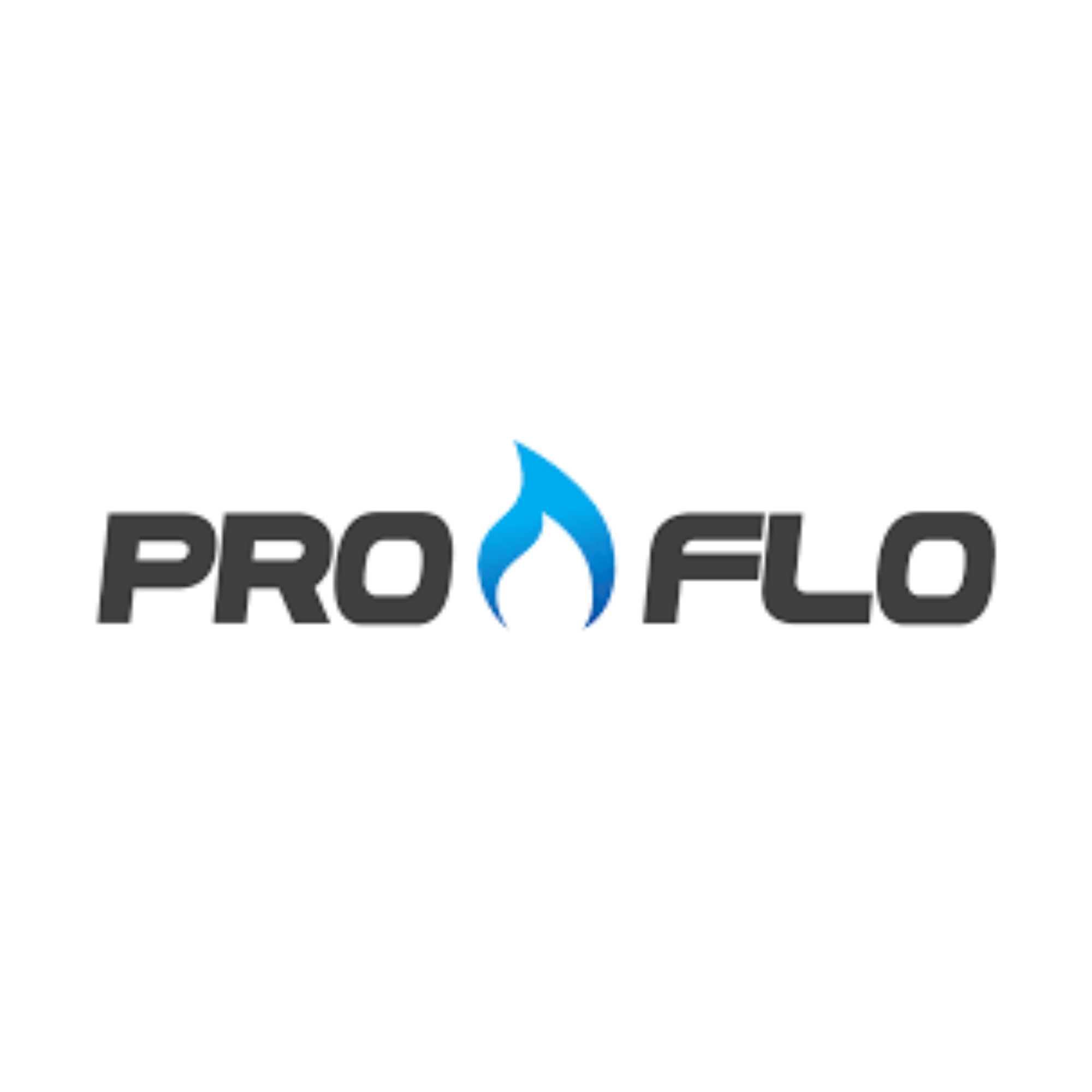 Pro-Flo Website logo